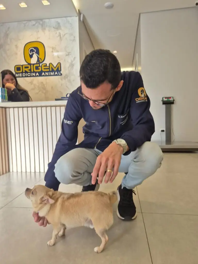 WhatsApp Image 2025-12-11 at 09.51.39