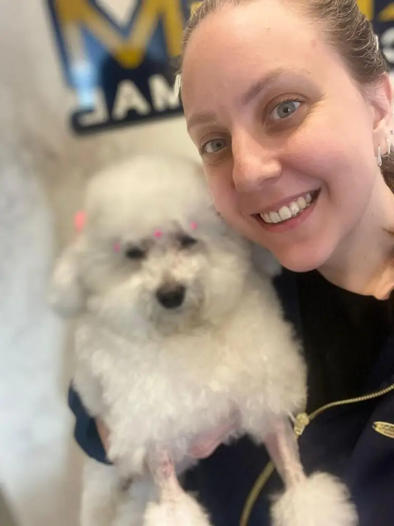 WhatsApp Image 2025-12-11 at 09.51.41