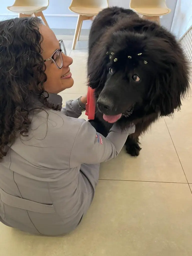 WhatsApp Image 2025-12-11 at 09.51.42