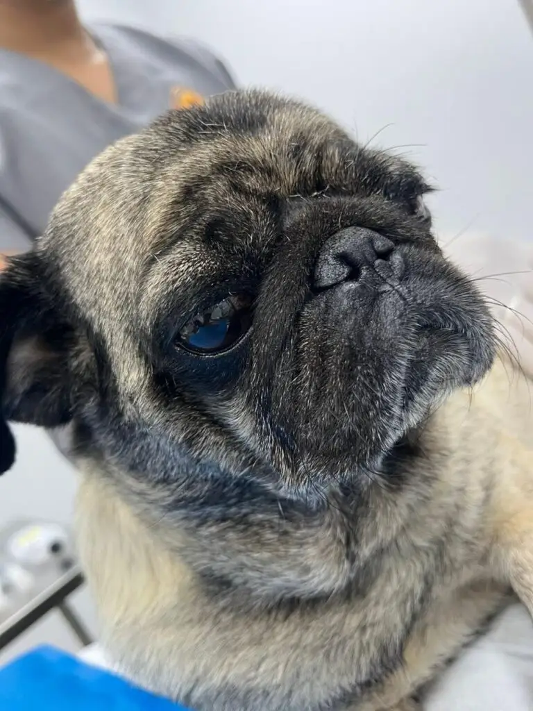 WhatsApp Image 2025-12-11 at 09.51.46 (1)