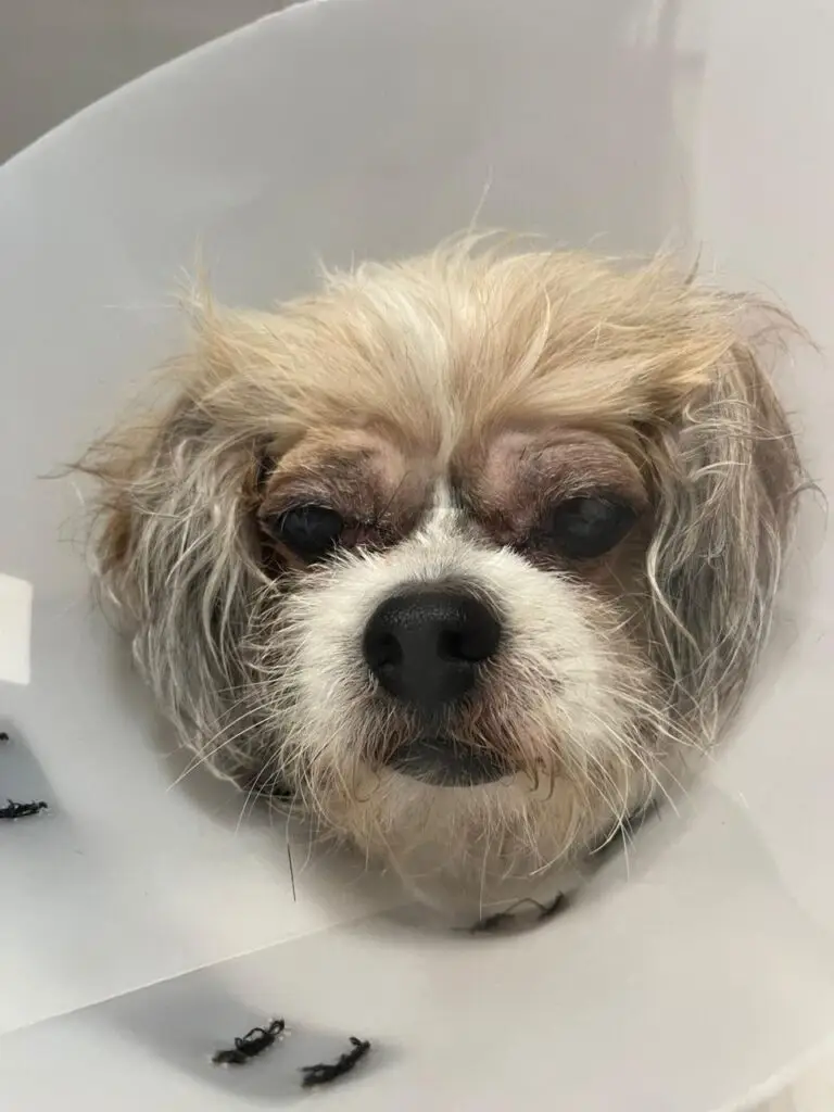 WhatsApp Image 2025-12-11 at 09.51.46