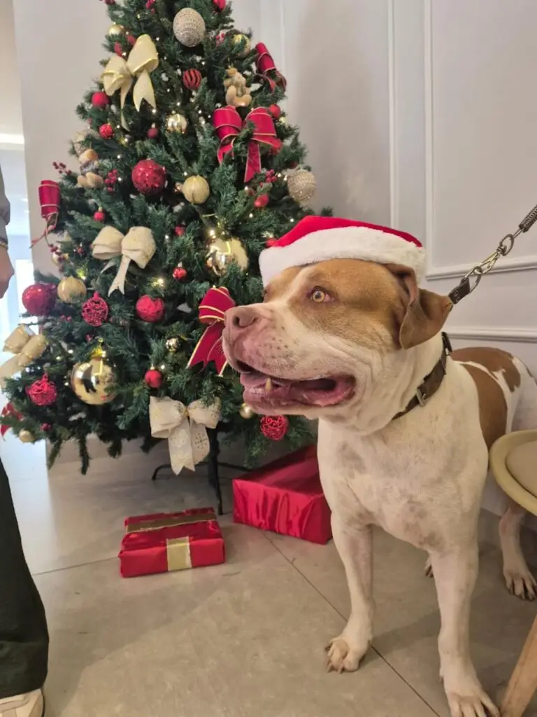 WhatsApp Image 2025-12-11 at 09.51.47 (3)