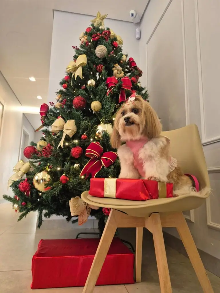 WhatsApp Image 2025-12-11 at 09.51.48 (1)