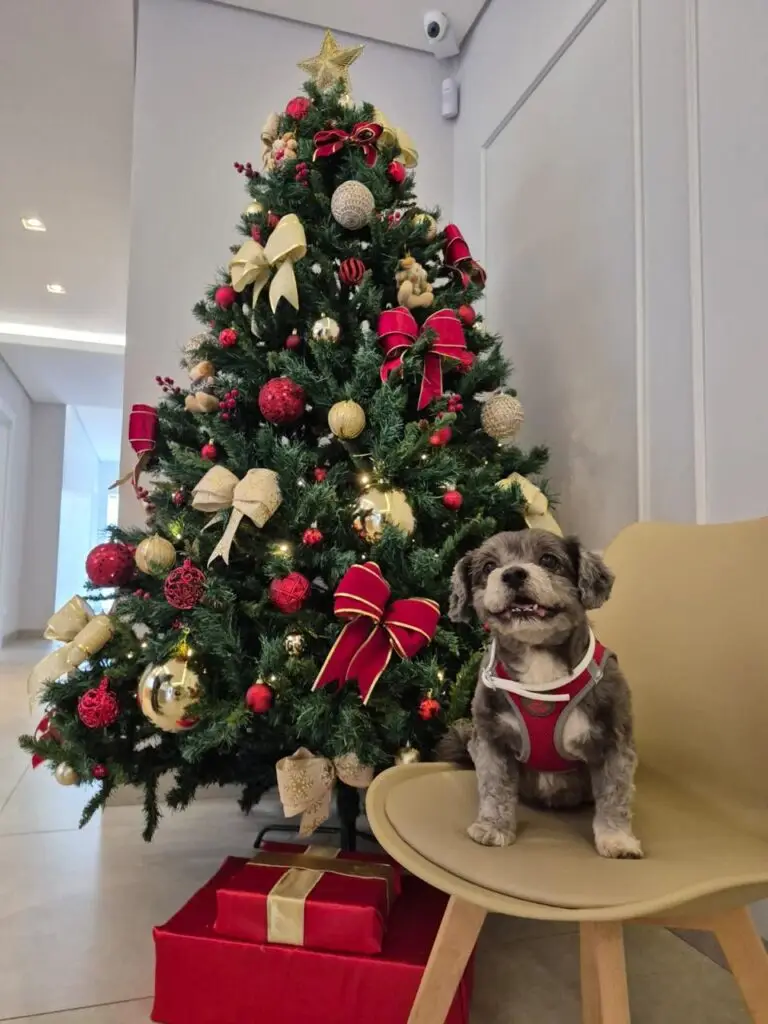 WhatsApp Image 2025-12-11 at 09.51.48 (2)