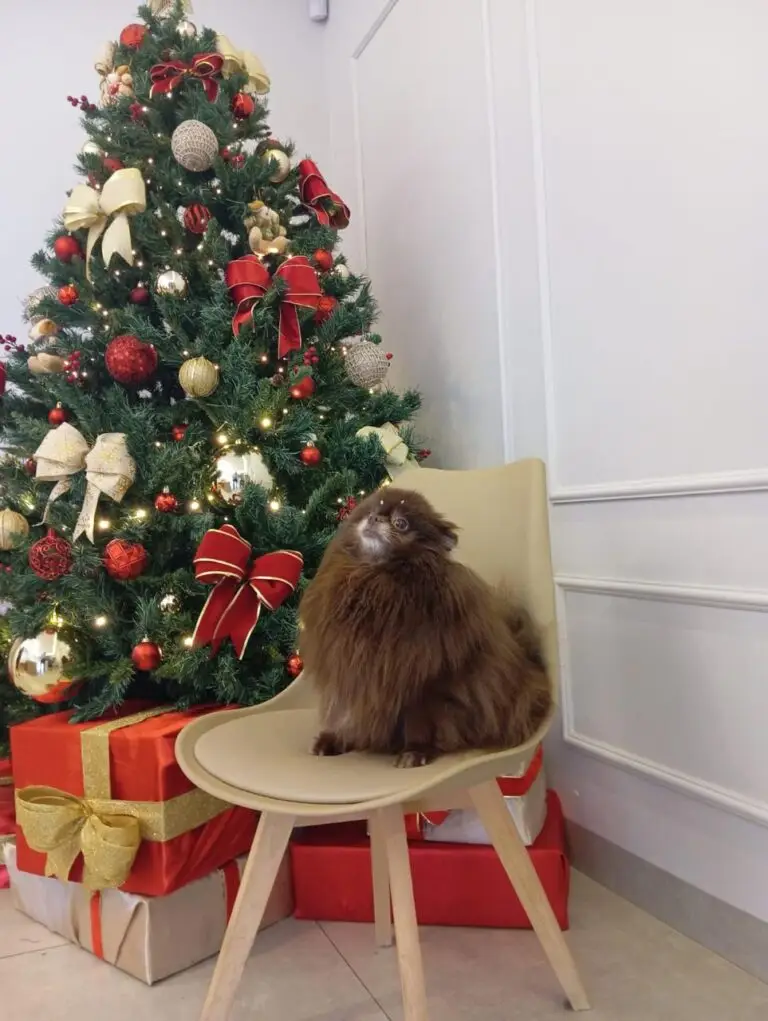 WhatsApp Image 2025-12-11 at 09.51.49 (1)